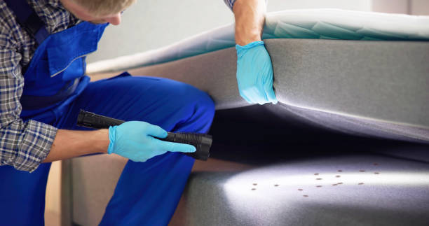 Best Affordable Pest Control Services  in Hayward, CA