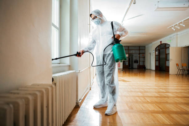 Pest Prevention Services in Hayward, CA