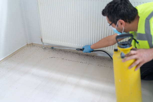 Best Pest Prevention Services  in Hayward, CA